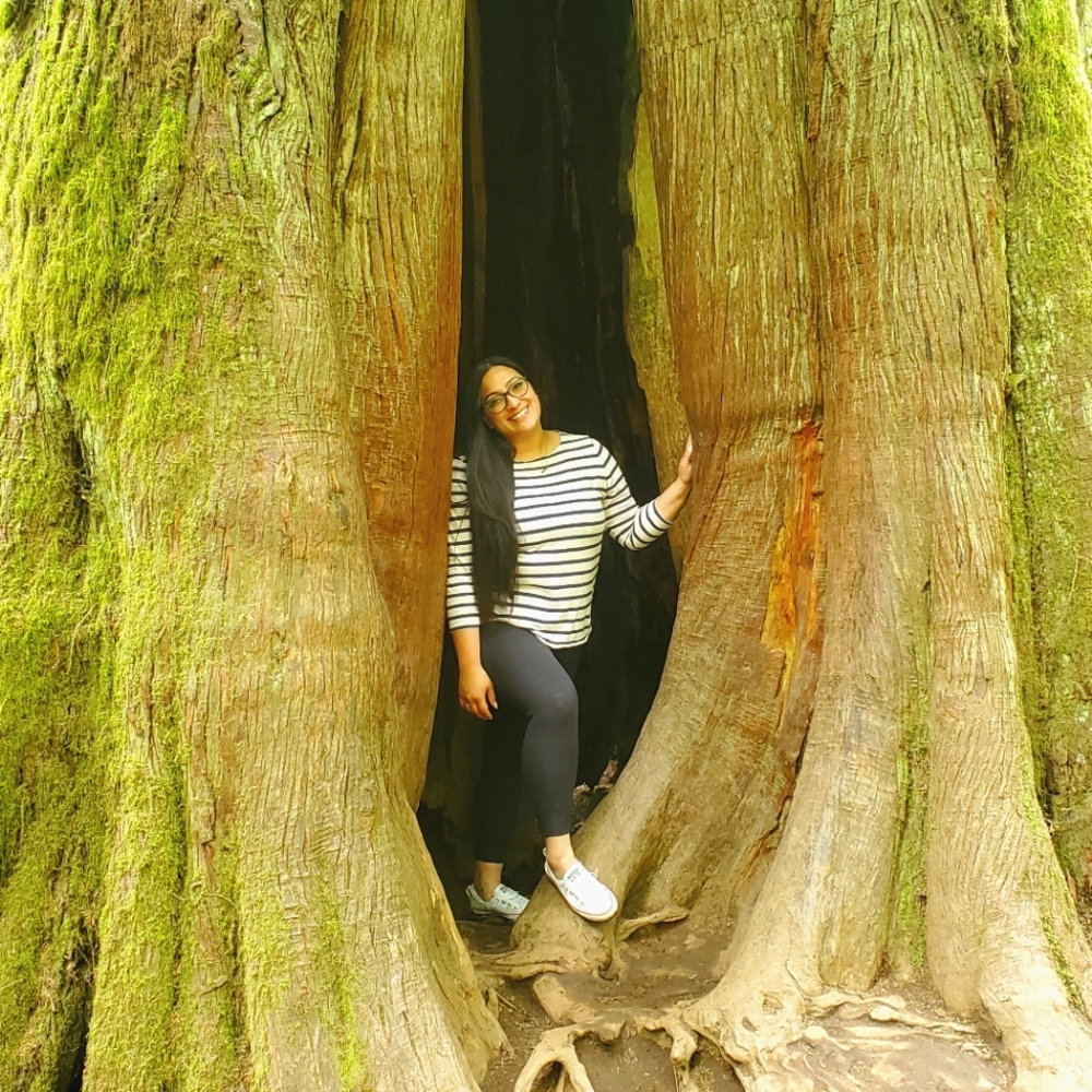 Meet your Posher, Ashley